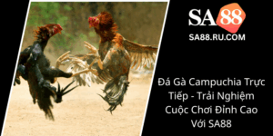 Da Ga Campuchia Truc Tiep Trai Nghiem Cuoc Choi Dinh Cao Voi Sa880