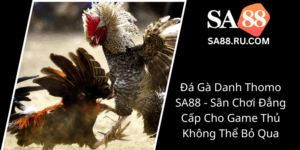 Da Ga Danh Thomo Sa88 San Choi Dang Cap Cho Game Thu Khong The Bo Qua0