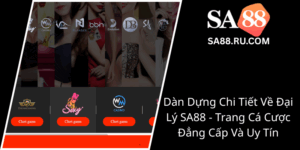 Dan Dung Chi Tiet Ve Dai Ly Sa88 Trang Ca Cuoc Dang Cap Va Uy Tin0
