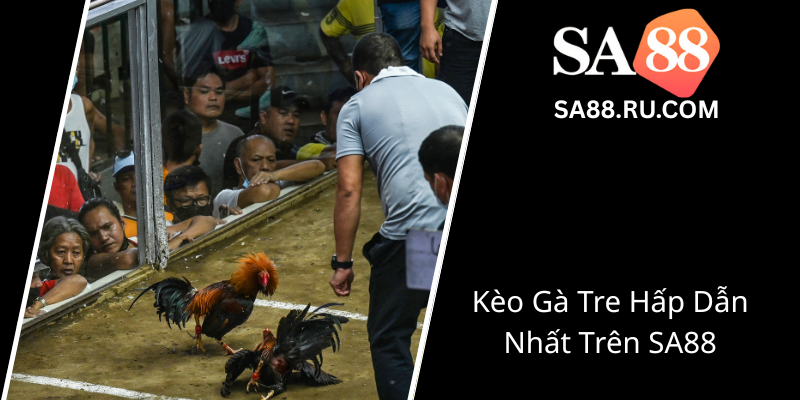 Keo Ga Tre Hap Dan Nhat Tren Sa880