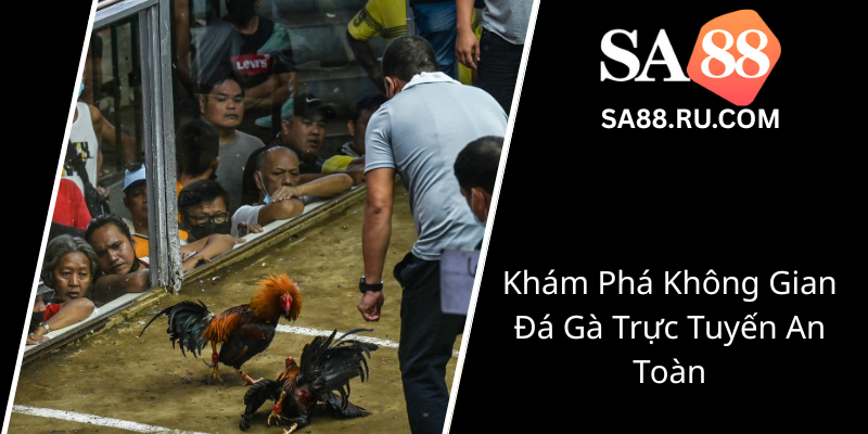 Kham Pha Khong Gian Da Ga Truc Tuyen An Toan0