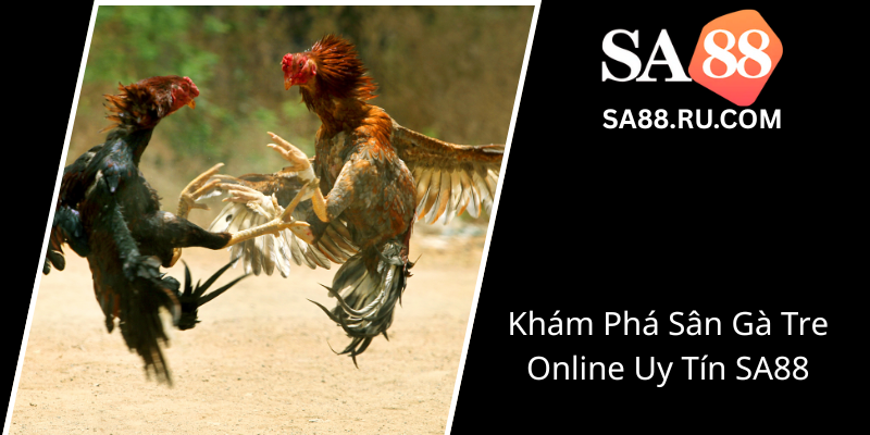 Kham Pha San Ga Tre Online Uy Tin Sa880