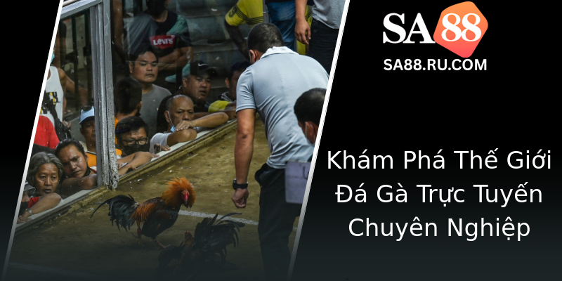 Khám Phá Thế Giới Đá Gà Trực Tuyến Chuyên Nghiệp