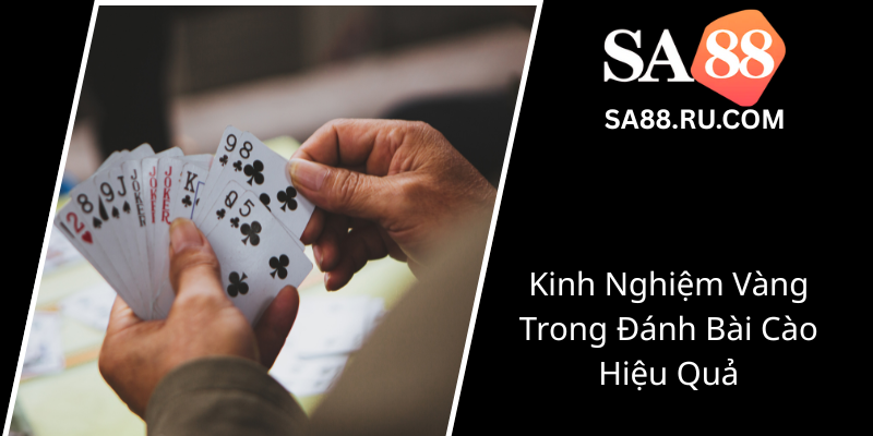 Kinh Nghiem Vang Trong Danh Bai Cao Hieu Qua0