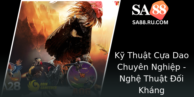 Kỹ Thuật Cựa Dao Chuyên Nghiệp - Nghệ Thuật Đối Kháng