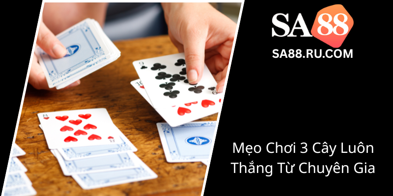 Meo Choi 3 Cay Luon Thang Tu Chuyen Gia0