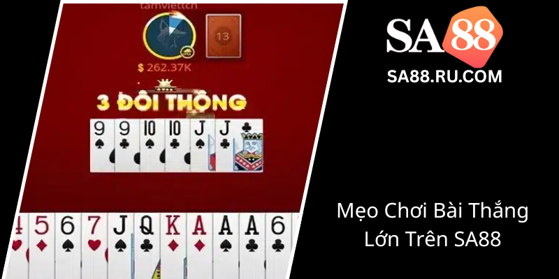 Meo Choi Bai Thang Lon Tren Sa880