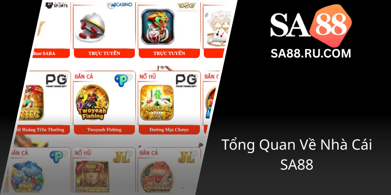 Tong Quan Ve Nha Cai Sa880