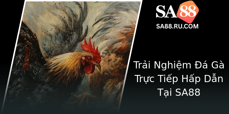 Trải Nghiệm Đá Gà Trực Tiếp Hấp Dẫn Tại SA88