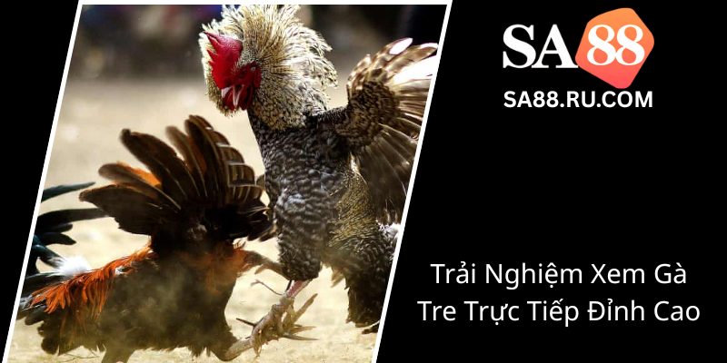 Trai Nghiem Xem Ga Tre Truc Tiep Dinh Cao0 1